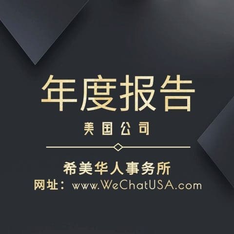 公司年度报告