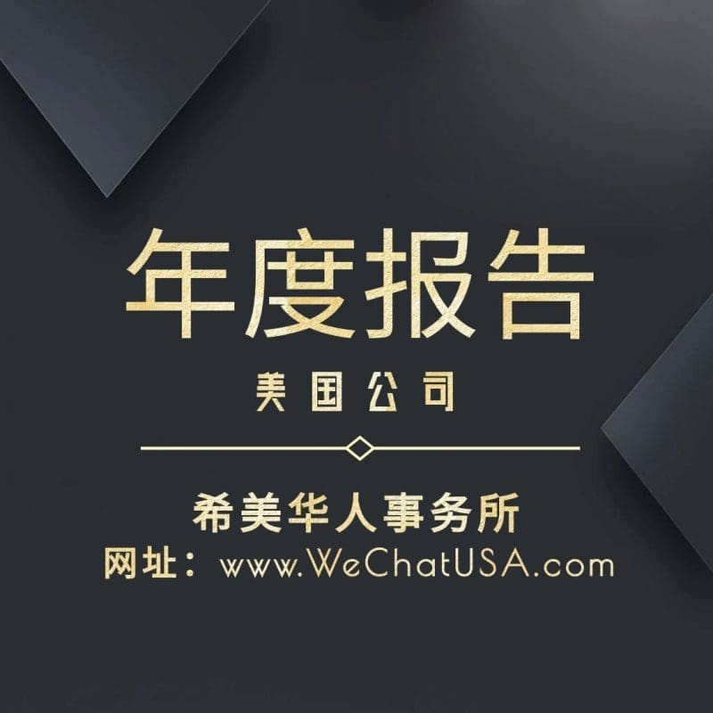 公司年度报告